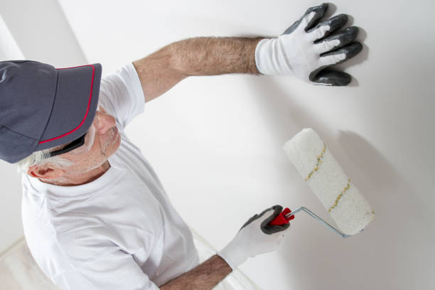 Best Attic Mold Removal  in Frankfort, OH