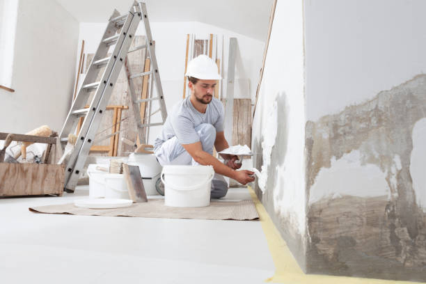 Best Emergency Mold Remediation  in Frankfort, OH